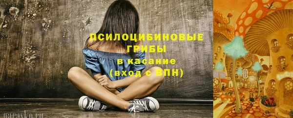 бошки Абинск