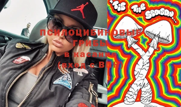 сатива Алексеевка
