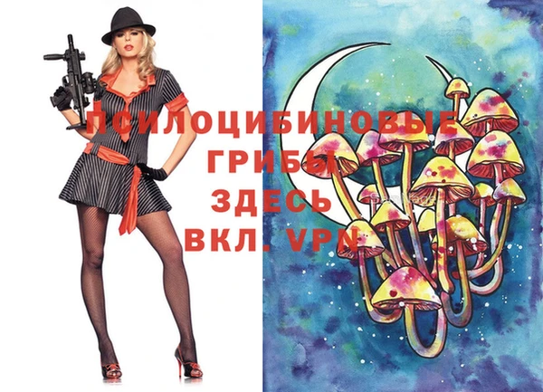 бошки Абинск